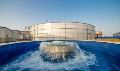 金锣集团:践行“健康中国”战略,构建大健康产业生态圈